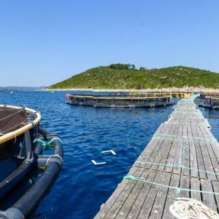 Virtualna &scaron;etnja