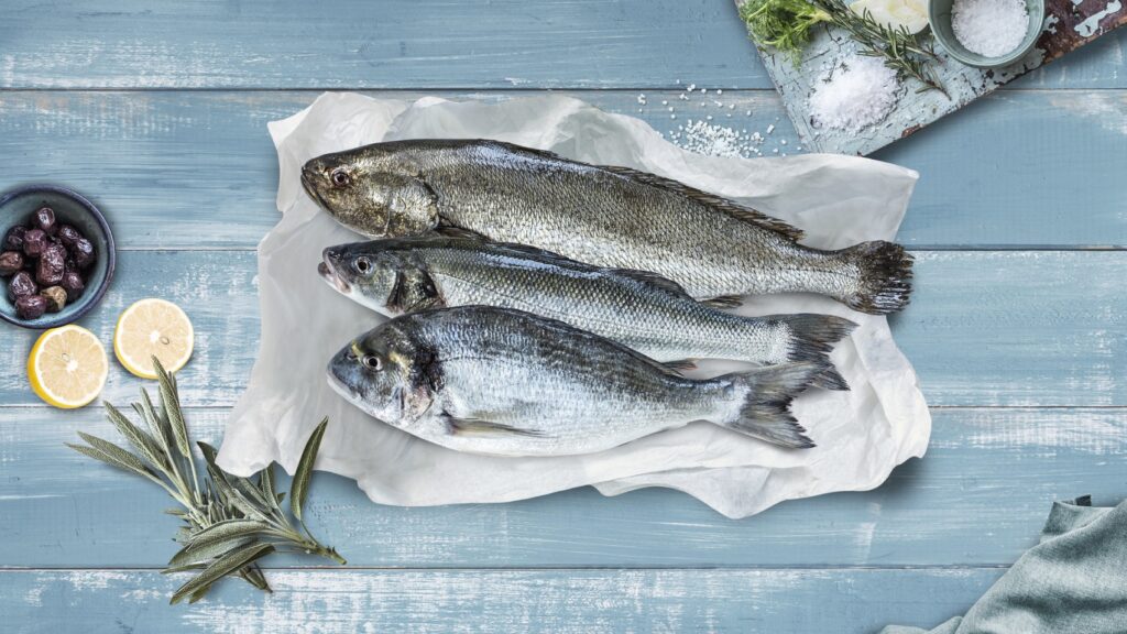 Cromaris Concetto Unique: