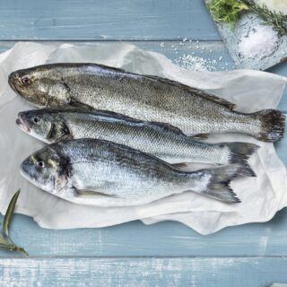 Cromaris koncept 'Unique":