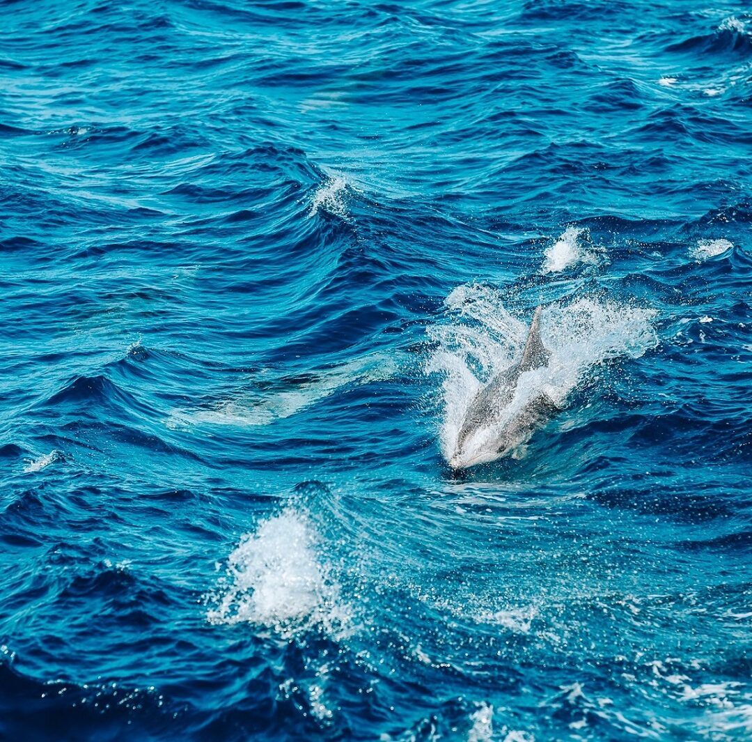 Pratiche commerciali responsabili e sostenibili