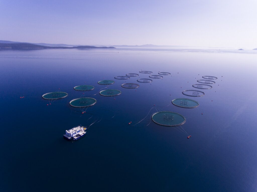 Naša politika kvalitete