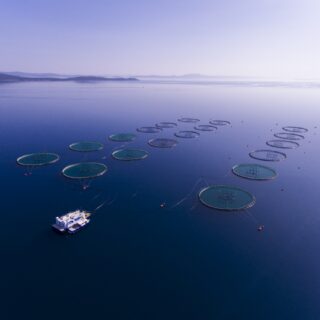 Certifikati koji dokazuju kvalitetu i sljedivost