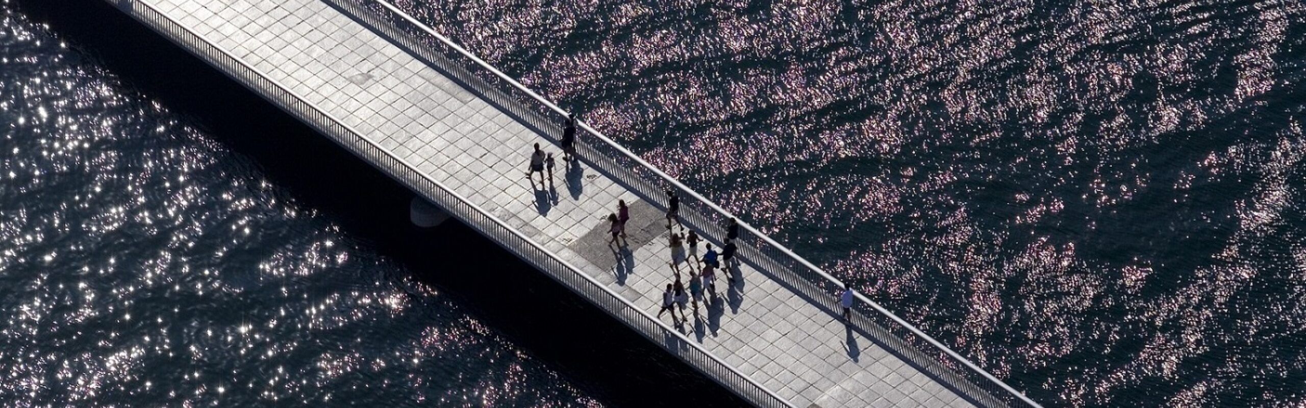 Društvena odgovornost