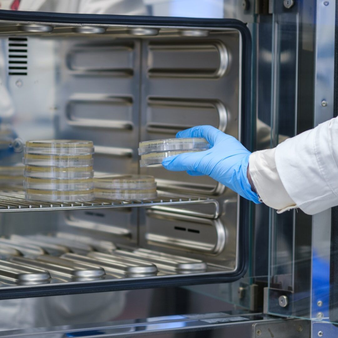 Mikrobiološki laboratorij 