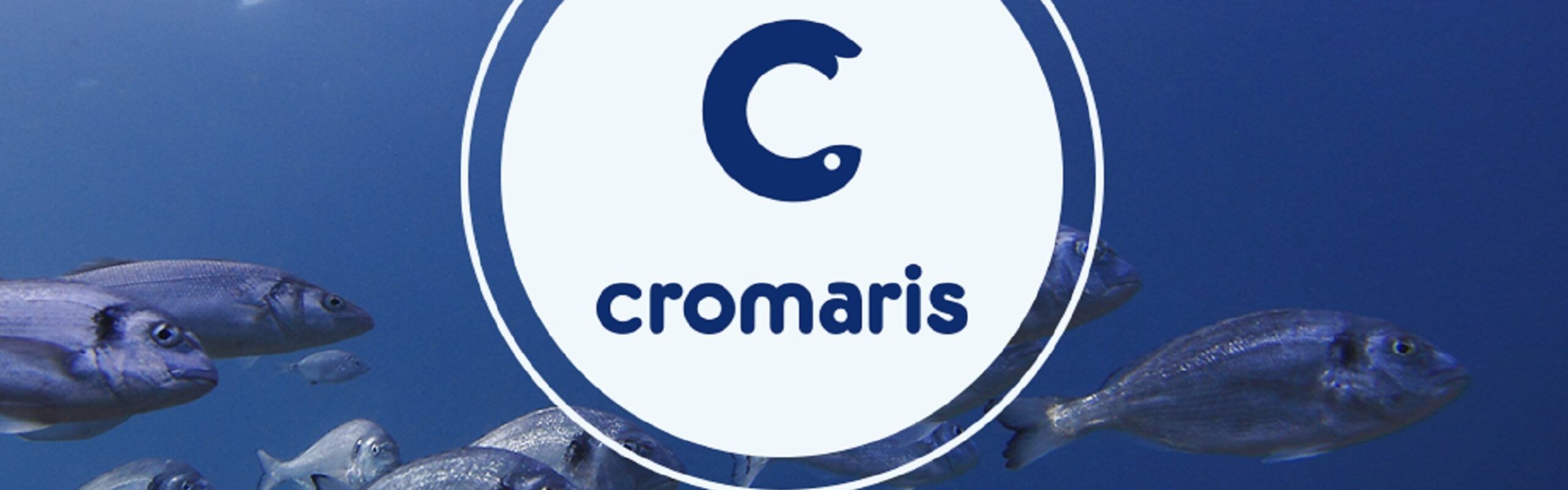 Cromaris ostvario rast prihoda uz daljnji rast profitabilnosti