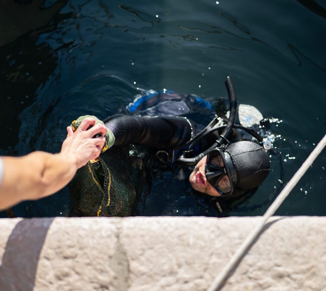 Očuvanje bioraznolikosti i ekosustava kroz odgovorno upravljanje resursima - minimalni utjecaj na okoliš
