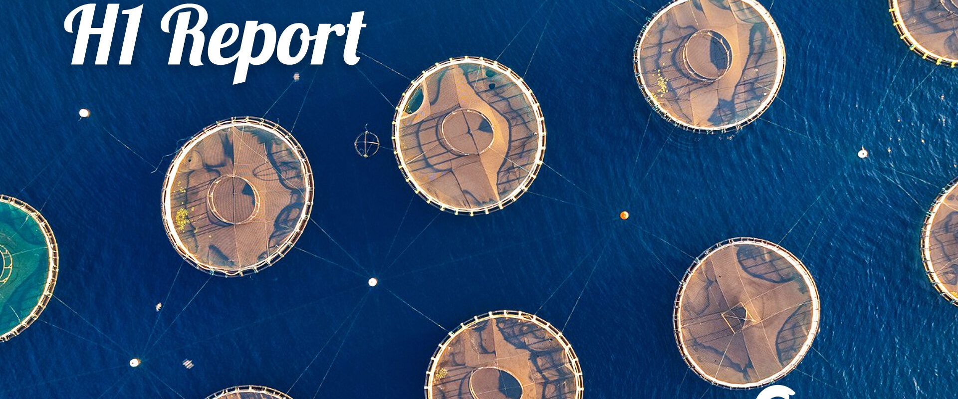 Cromaris ha ottenuto una crescita dei ricavi e dell’utile netto